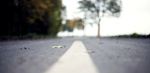 photo-1414484893951-7789bf8372ae